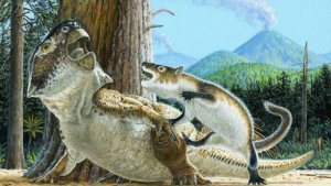 Čínský nález odhalil zkamenělinu pravěkého savce, který zaútočil na dinosaura