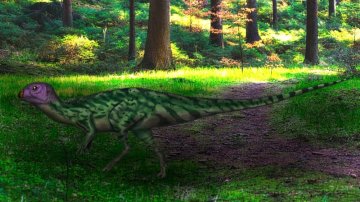 V Thajsku byl objeven jeden z nejstarších jihoasijských rychlonohých dinosaurů