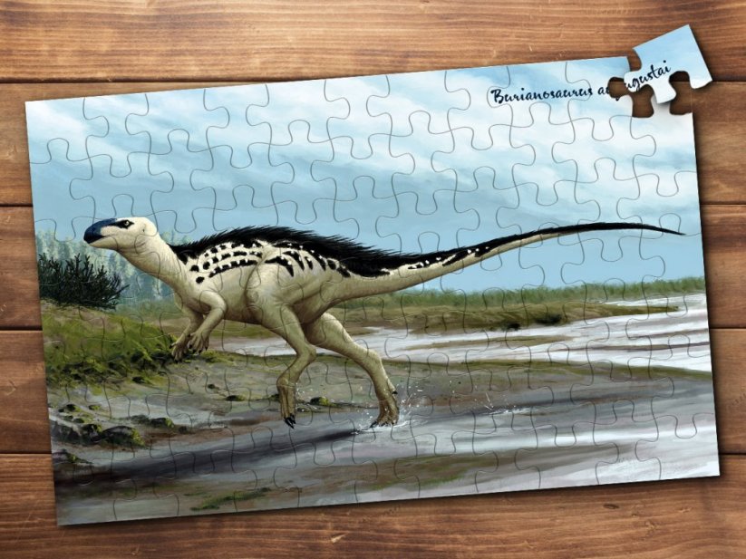 Dinosauří puzzle:  Burianosaurus