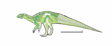 Záhadný býložravý dinosaurus žil v dobách velkých změn
