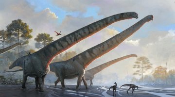 Jak fungovaly krky největších dlouhokrkých dinosaurů