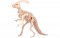 3D dřevěná kostra ke složení – Parasaurolophus