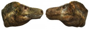 Velcí masožraví dinosauři měli zřejmě zuby schované pod rty