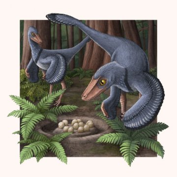 Malí draví dinosauři vytvářeli společná hnízda