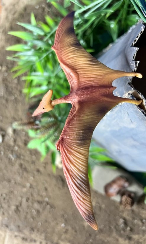 Realistická sběratelská figurka Pteranodon