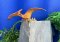 Realistická sběratelská figurka Pteranodon