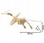 3D dřevěná kostra ke složení – Pteranodon XXL, 120 cm