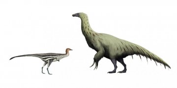K čemu dinosauři používali své drápy?
