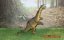 Figurka Brontosaurus - sběratelská figurka 11cm