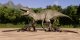 Scorpios rex, Indominus rex a Indoraptor – hybridi Jurského světa