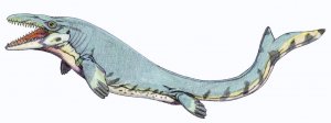 Zuby křídového mosasaura připomínaly šroubováky